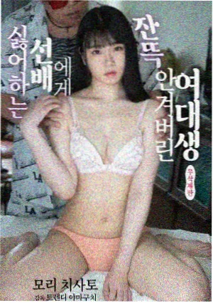 海边信号剧集索引封面